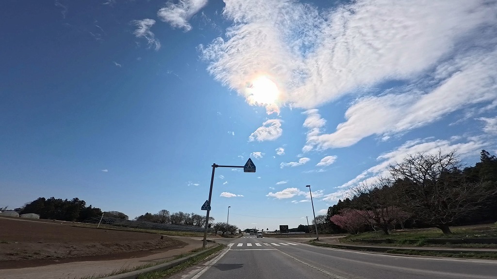 茨城県 メロンロード